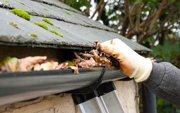 gutter cleaning Newhouse