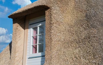 Newhouse thatch roof disadvantages
